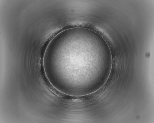 X0000091570692200709051039