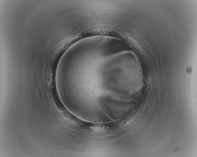 X0000091570693200709051039