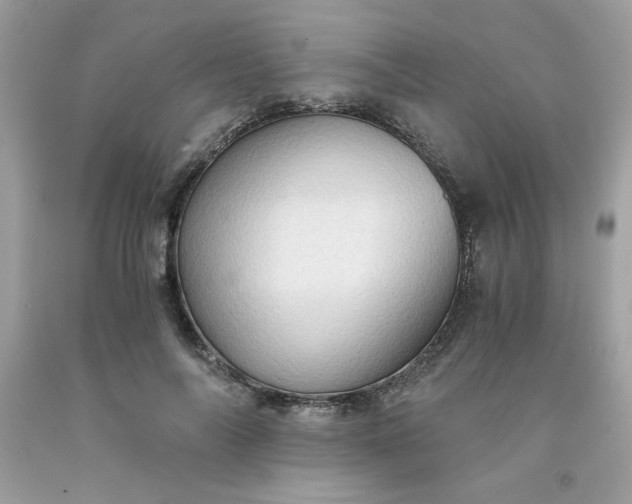 X0000091570694200709051039