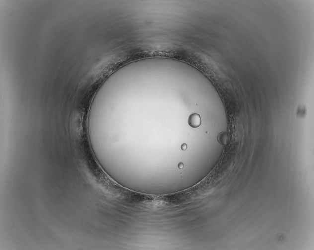X0000091570695200709051039
