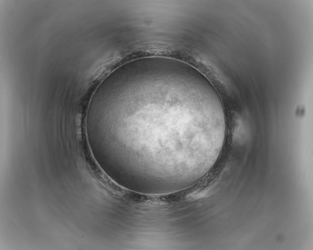 X0000091570696200709051039
