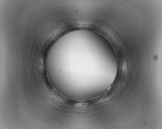 X0000091570700200709051039