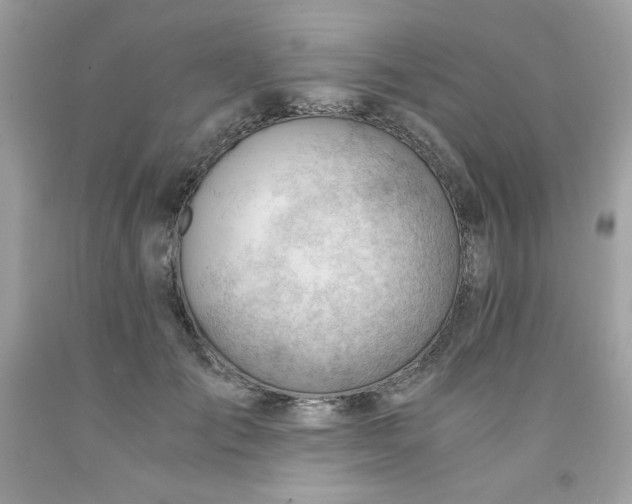 X0000091570701200709051039