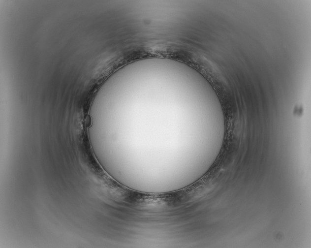 X0000091570702200709051039