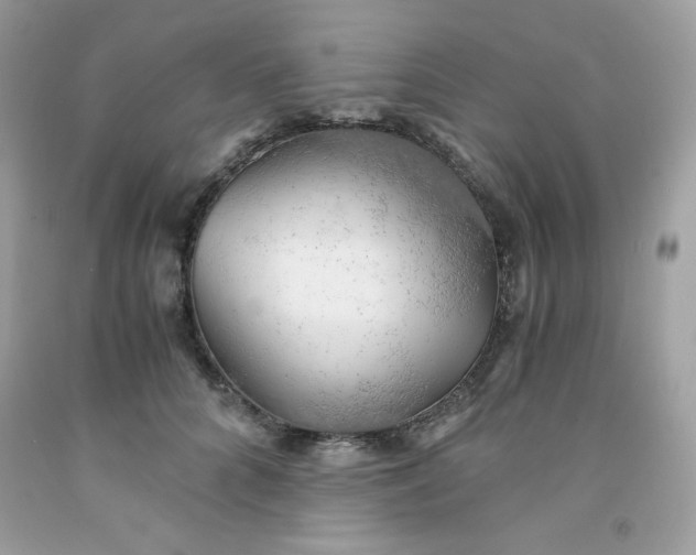 X0000091570704200709051039