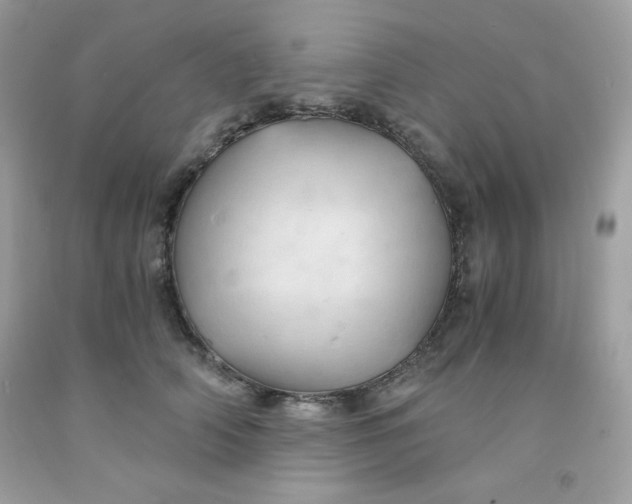 X0000091570706200709051039