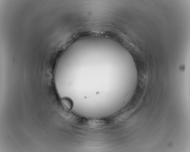 X0000091570707200709051039