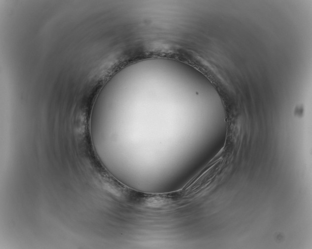 X0000091570708200709051039