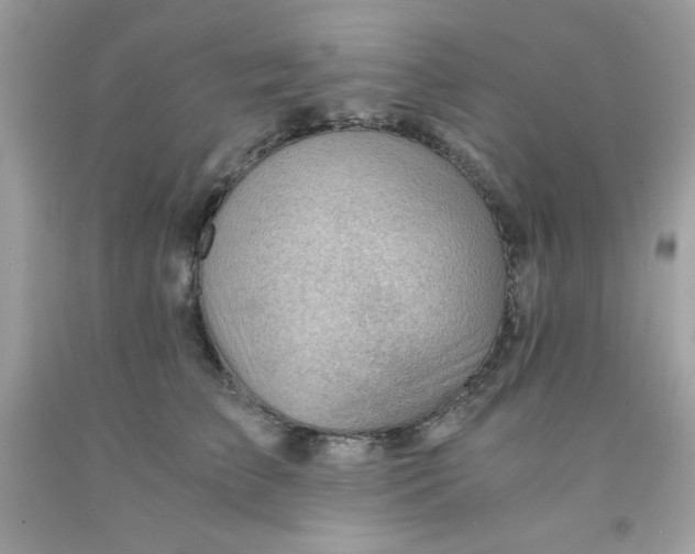 X0000091570709200709051039
