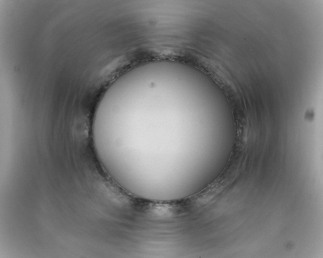 X0000091570710200709051039