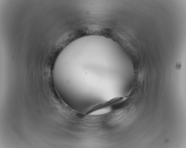 X0000091570711200709051039