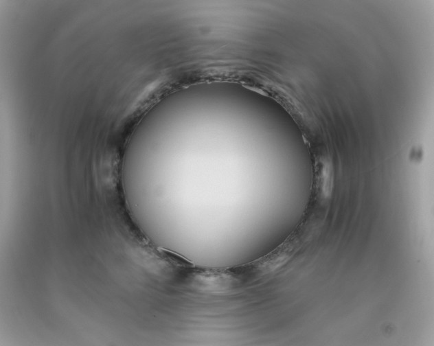 X0000091570712200709051039