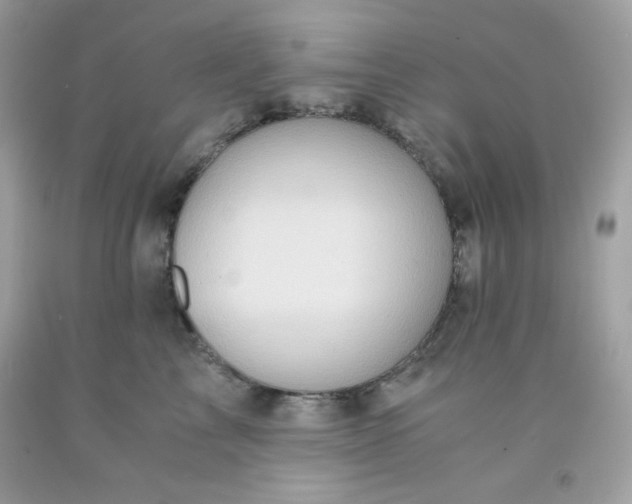 X0000091570713200709051039