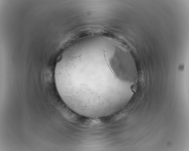 X0000091570715200709051039