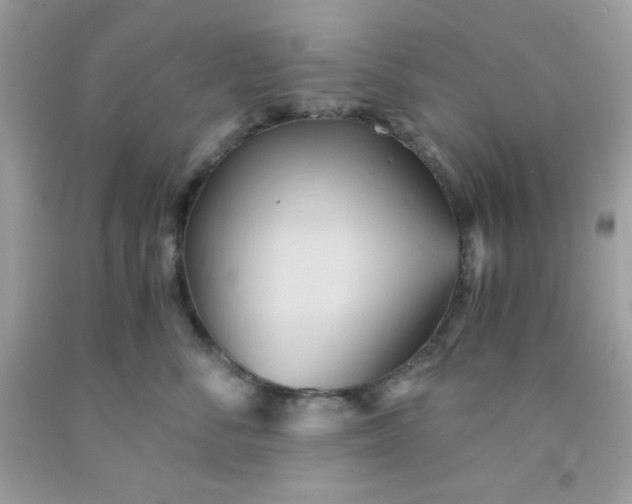 X0000091570716200709051039