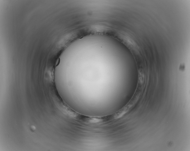 X0000091570718200709051038