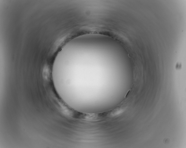 X0000091570720200709051038