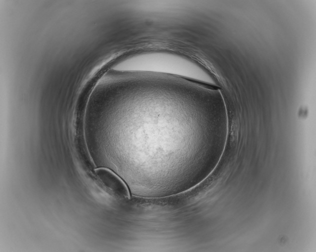 X0000091570722200709051038