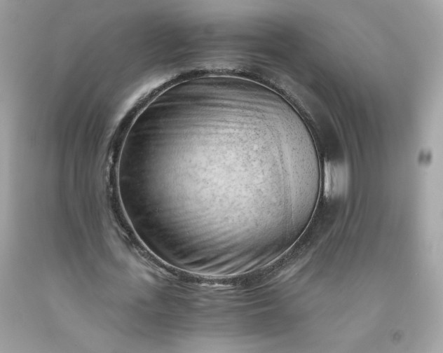X0000091570723200709051038