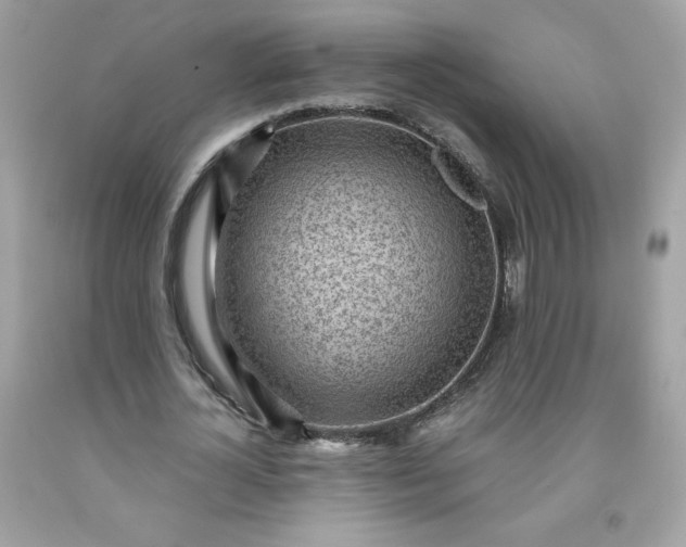 X0000091570724200709051038
