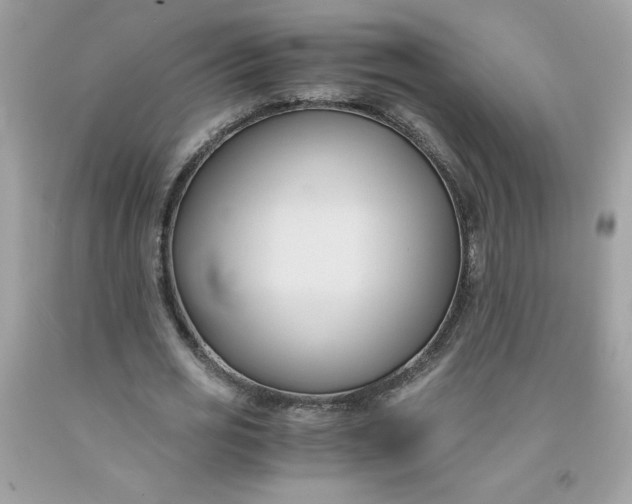X0000091570725200709051038