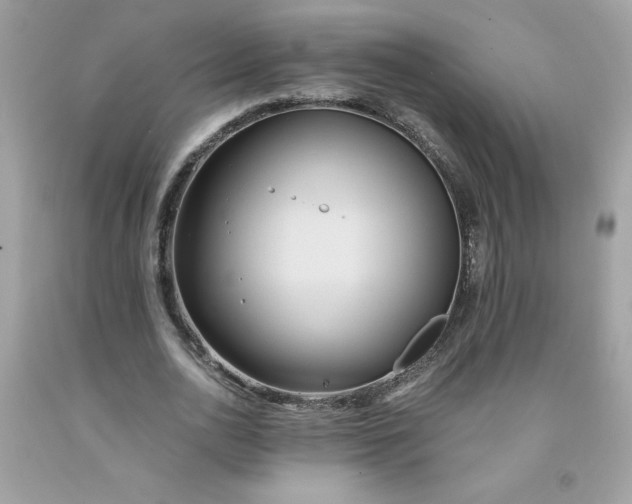 X0000091570726200709051038