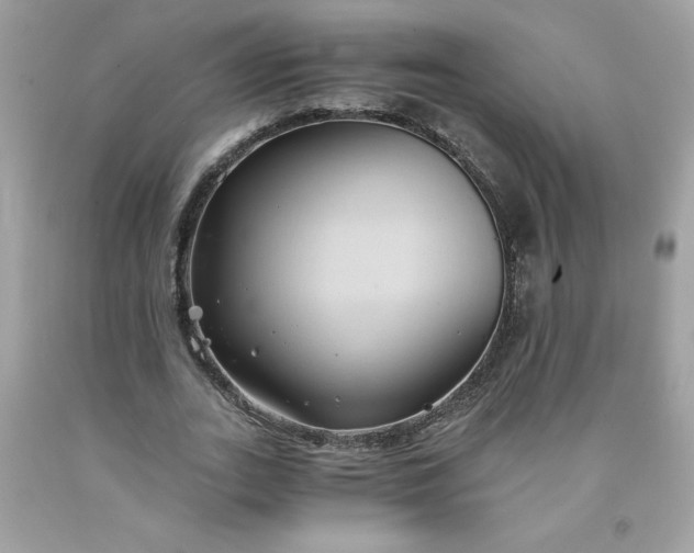 X0000091570727200709051038