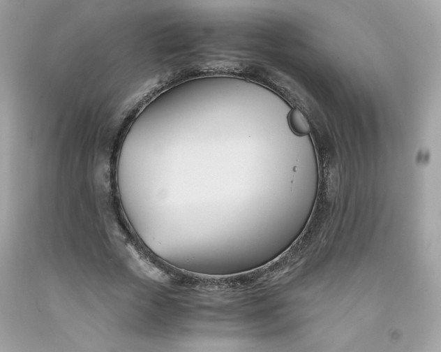X0000091570729200709051038