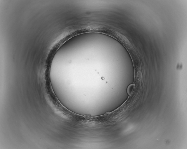 X0000091570730200709051038