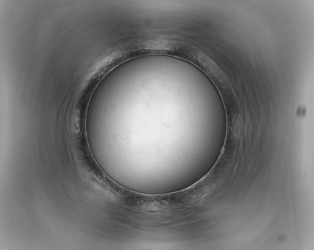 X0000091570731200709051038