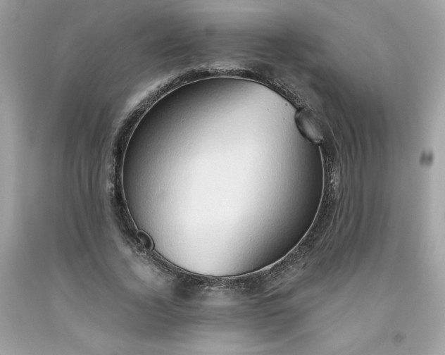 X0000091570732200709051038
