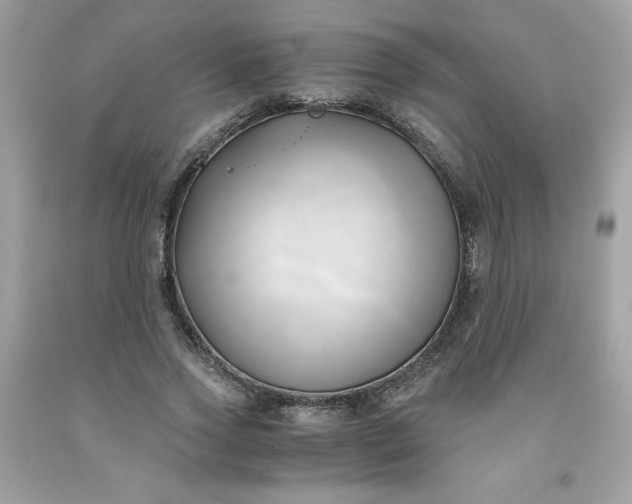 X0000091570733200709051038
