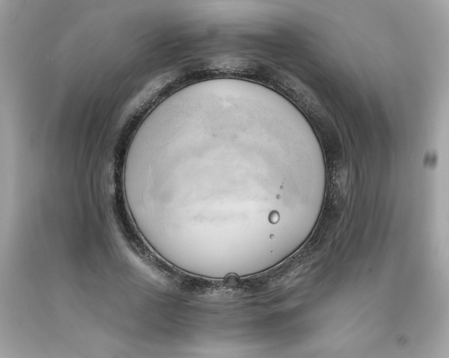 X0000091570734200709051038