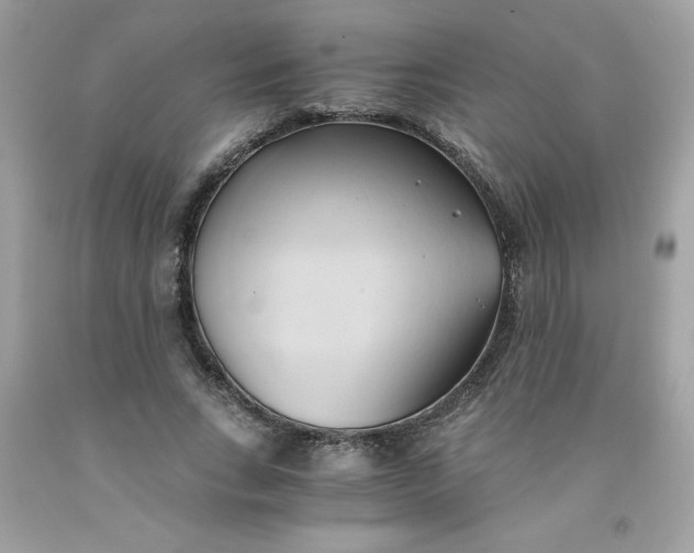 X0000091570735200709051038