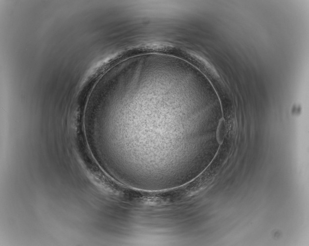 X0000091570736200709051038