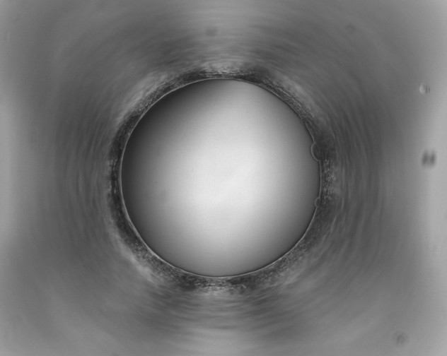 X0000091570738200709051038