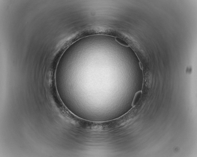 X0000091570740200709051038