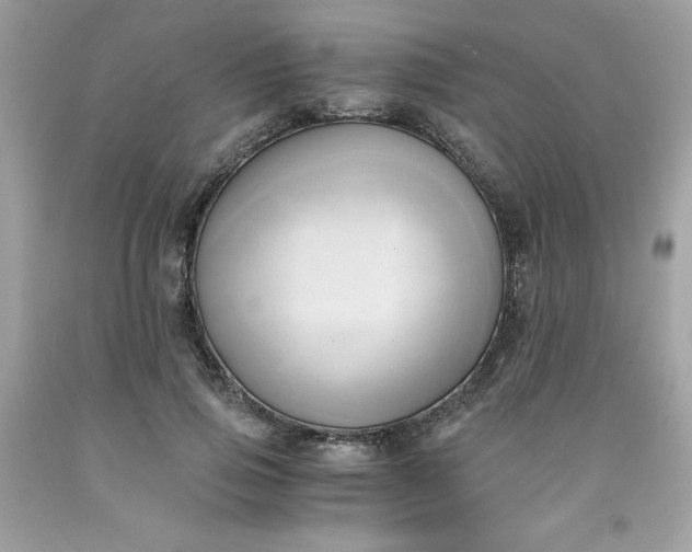 X0000091570741200709051038