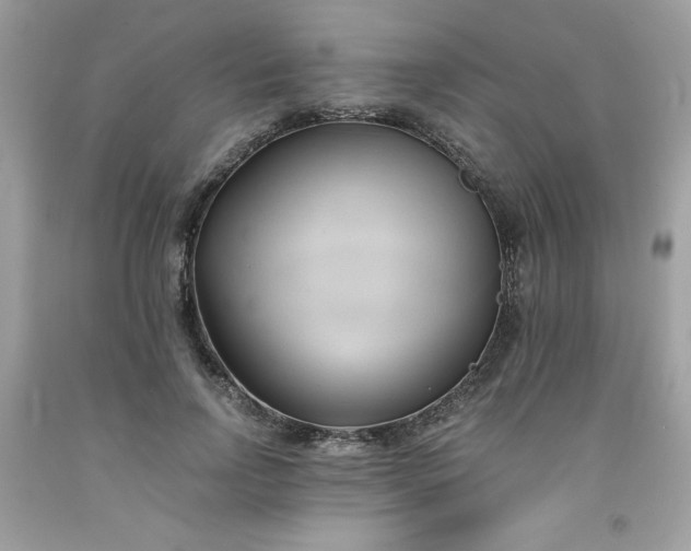 X0000091570742200709051038