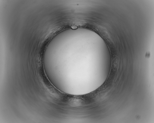 X0000091570743200709051038