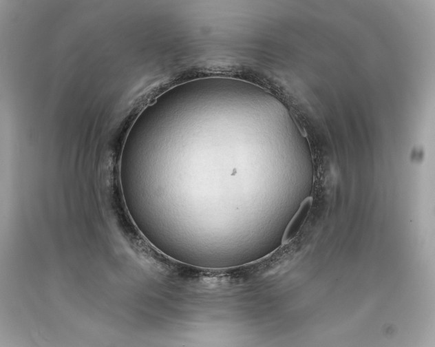 X0000091570744200709051038