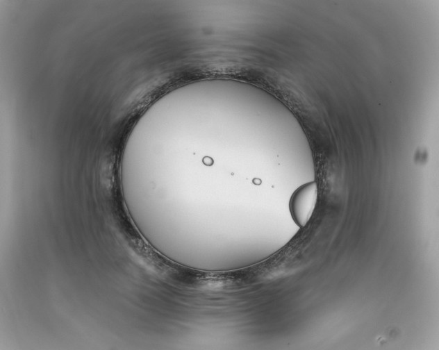 X0000091570746200709051038