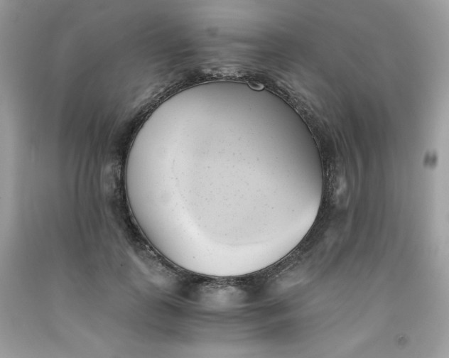 X0000091570747200709051038