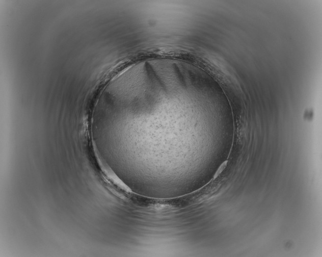 X0000091570748200709051038