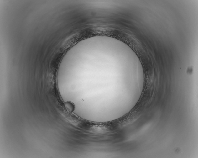 X0000091570749200709051038