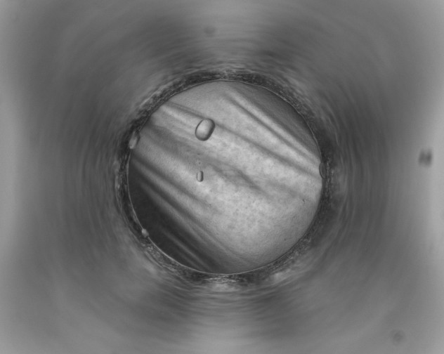X0000091570750200709051038