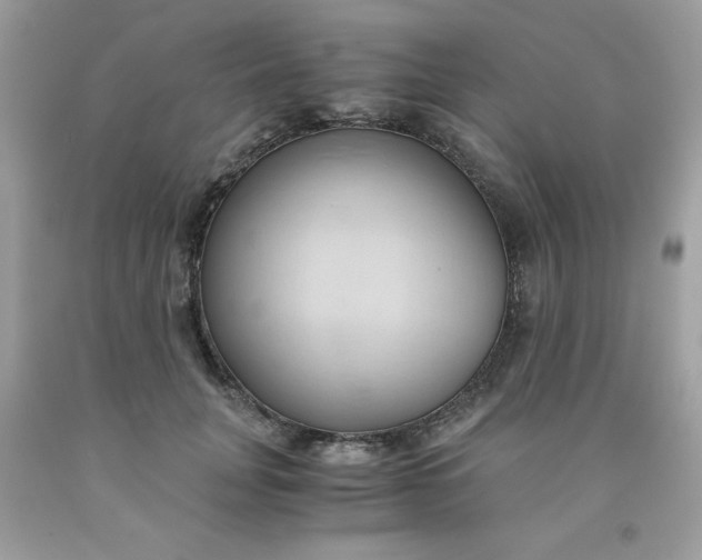 X0000091570751200709051038
