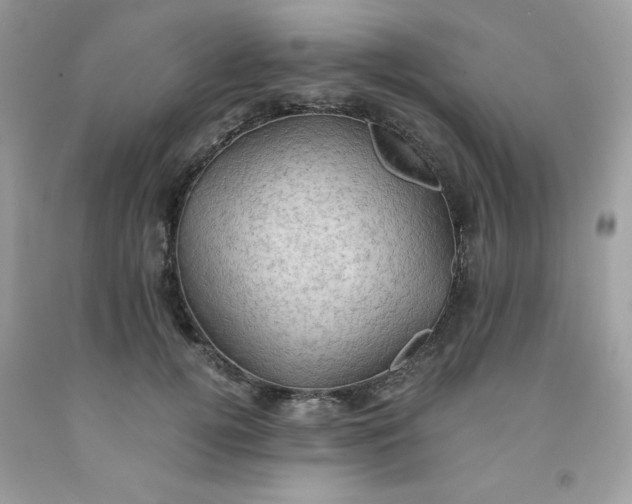 X0000091570752200709051038