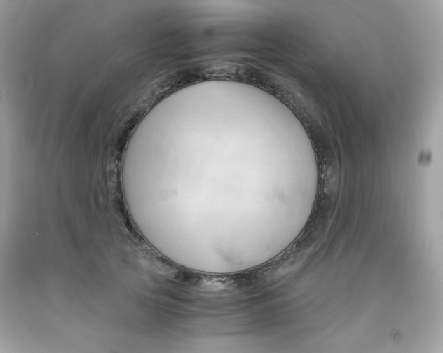 X0000091570753200709051038