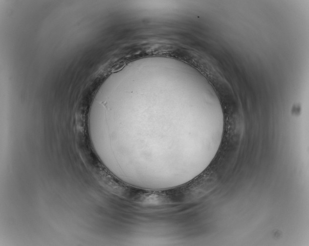 X0000091570755200709051038